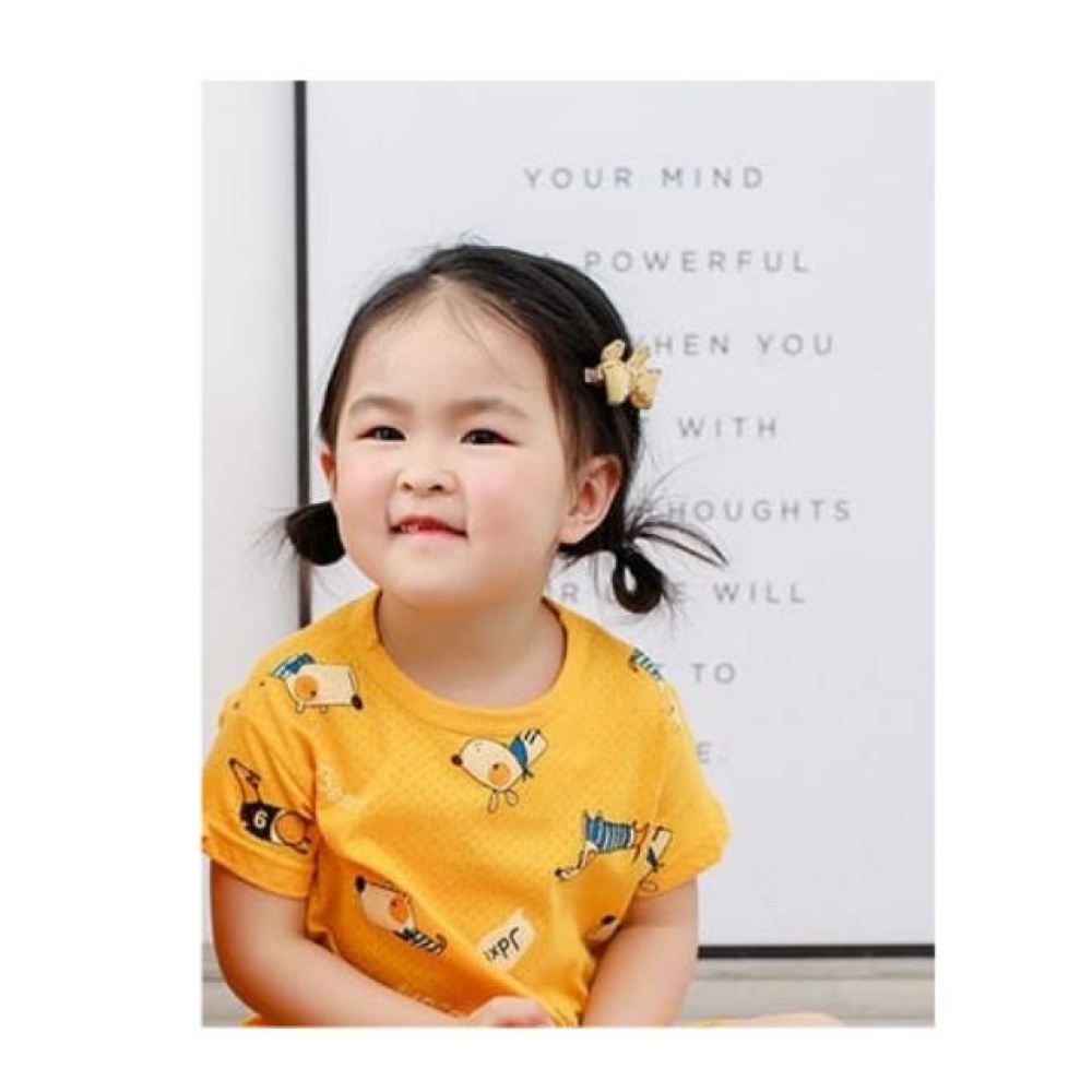 FANSU Ensembles De Pyjama Bébé 2 Pièces, Ensembles 0-3 Année Garçon Fille Coton Flammé Imprimé Animal T-Shirt à Manches Pyjamas De Bande Dessinée Sous -Vêtements (Citron Gris,80cm